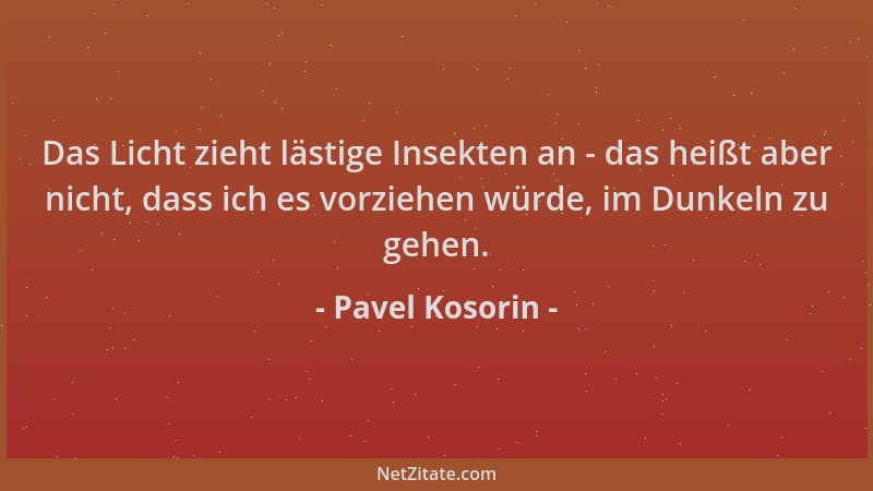 Pavel Kosorin - Das Licht zieht lästige Insekten an - das heißt aber nicht, dass ich es vorziehen würde, im Dunkeln zu gehe...