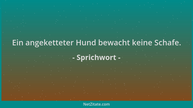 Sprichwort - Ein angeketteter Hund bewacht keine Schafe....