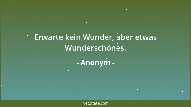 Anonym - Erwarte kein Wunder, aber etwas Wunderschönes....