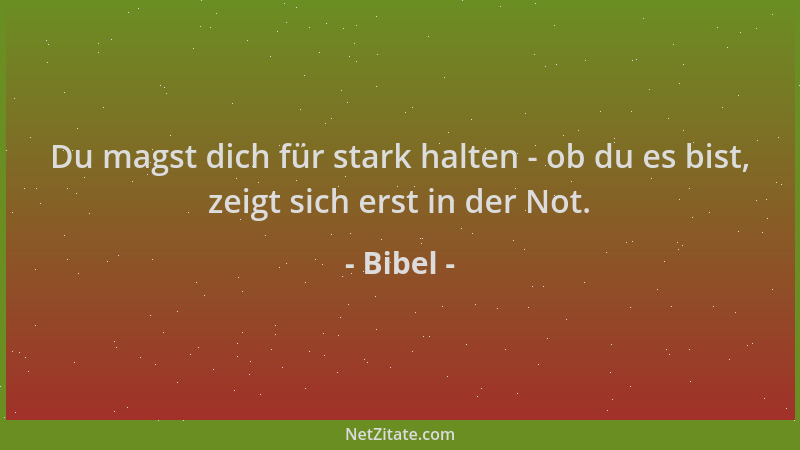 Bibel - Du magst dich für stark halten - ob du es bist, zeigt sich erst in der Not....