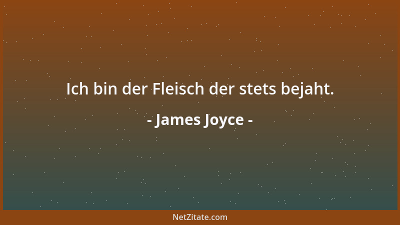 James Joyce - Ich bin der Fleisch der stets bejaht....