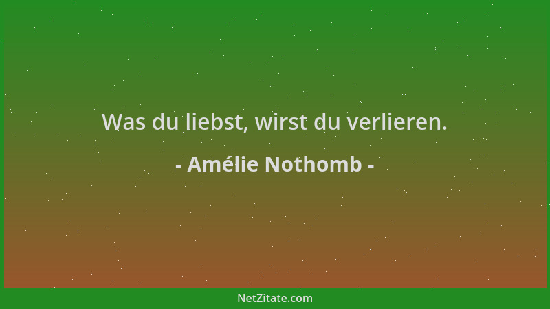Amélie Nothomb - Was du liebst, wirst du verlieren....