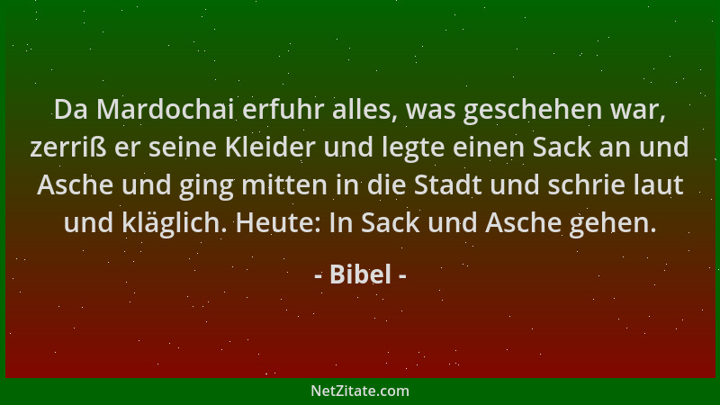 Bibel - Da Mardochai erfuhr alles, was geschehen war, zerriß er seine Kleider und legte einen Sack an und Asche und ging mi...