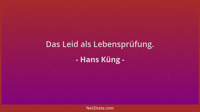 Hans Küng - Das Leid als Lebensprüfung....