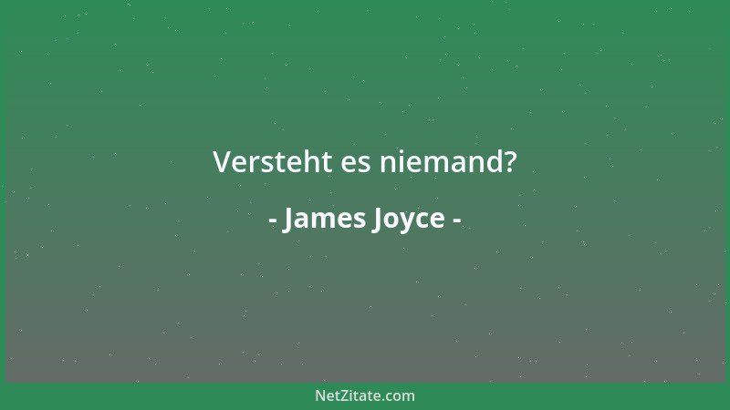 James Joyce - Versteht es niemand?...