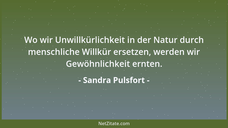 Sandra Pulsfort - In der Schwäche ruht die Kraft....