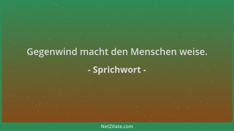 Sprichwort - Gegenwind macht den Menschen weise....