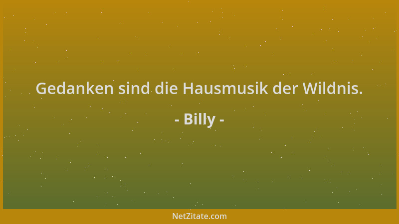 Billy - Gedanken sind die Hausmusik der Wildnis....