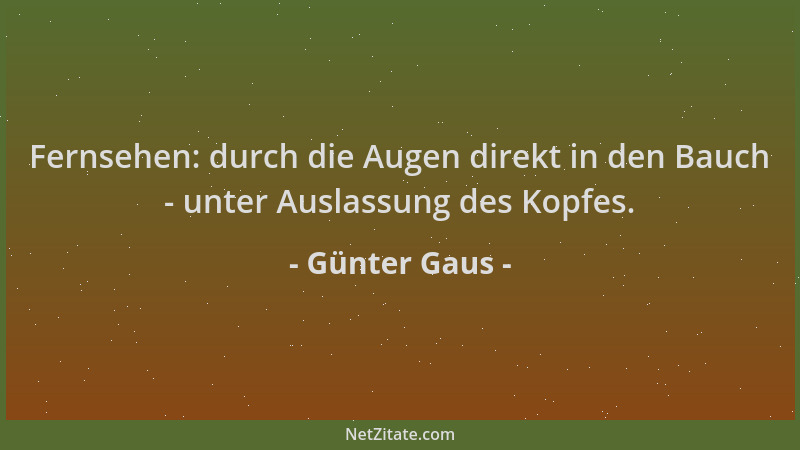 Günter Gaus - Fernsehen: durch die Augen direkt in den Bauch - unter Auslassung des Kopfes....