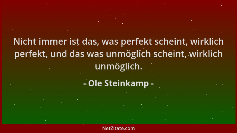 Ole Steinkamp - Nicht immer ist das, was perfekt scheint, wirklich perfekt, und das was unmöglich scheint, wirklich unmögli...