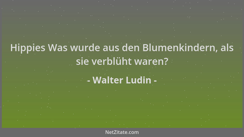 Walter Ludin - Hippies Was wurde aus den Blumenkindern, als sie verblüht waren?...