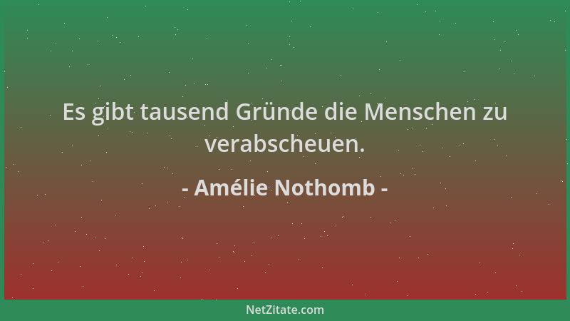 Amélie Nothomb - Es gibt tausend Gründe die Menschen zu verabscheuen....