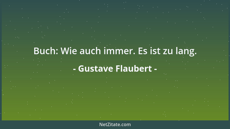 Gustave Flaubert - Buch: Wie auch immer. Es ist zu lang....
