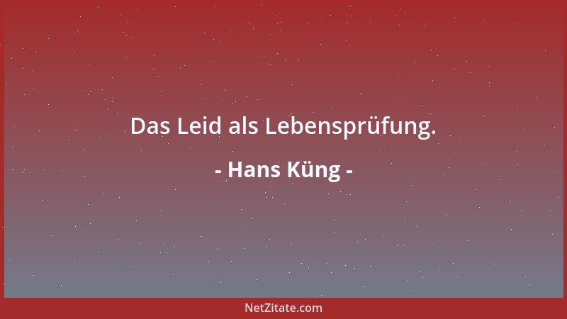Hans Küng - Das Leid als Lebensprüfung....