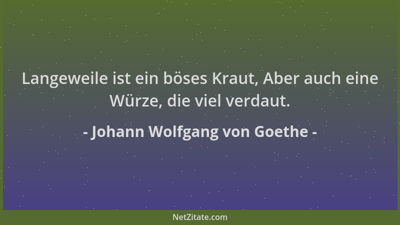 Johann Wolfgang von Goethe - Langeweile ist ein böses Kraut, Aber auch eine Würze, die viel verdaut....