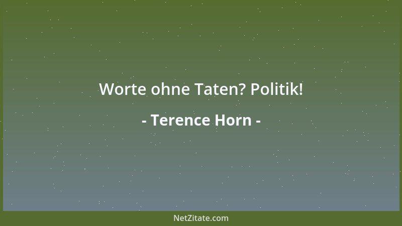 Terence Horn - Worte ohne Taten? Politik!...