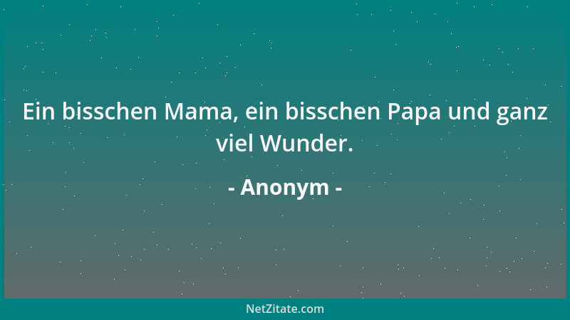 Anonym - Ein bisschen Mama, ein bisschen Papa und ganz viel Wunder....