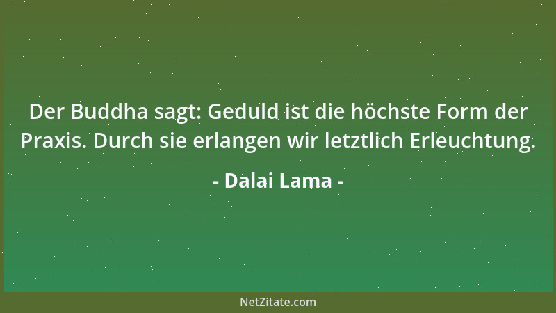 Dalai Lama - Der Buddha sagt: Geduld ist die höchste Form der Praxis. Durch sie erlangen wir letztlich Erleuchtung....