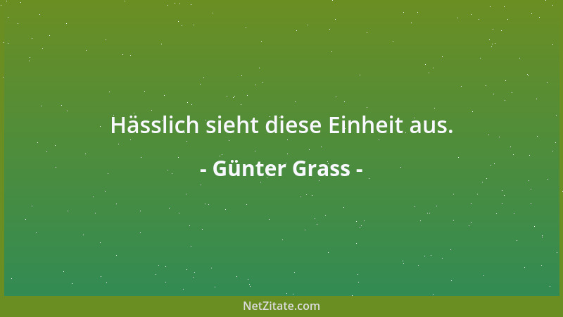 Günter Grass - Hässlich sieht diese Einheit aus....
