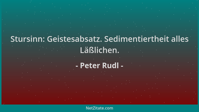 Peter Rudl - Stursinn: Geistesabsatz. Sedimentiertheit alles Läßlichen....