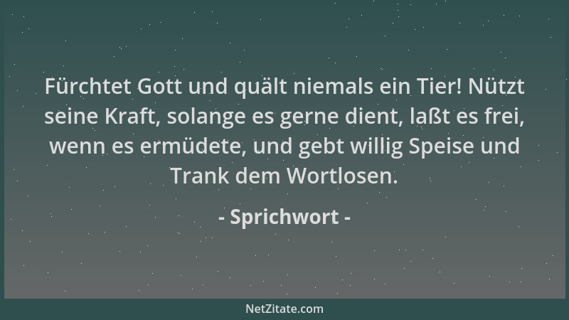 Sprichwort - Fürchtet Gott und quält niemals ein Tier! Nützt seine Kraft, solange es gerne dient, laßt es frei, wenn es erm...