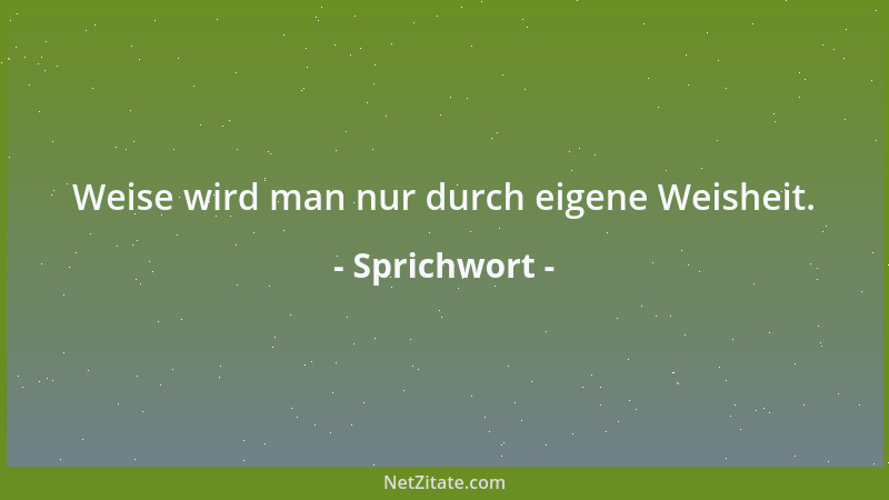 Sprichwort - Weise wird man nur durch eigene Weisheit....