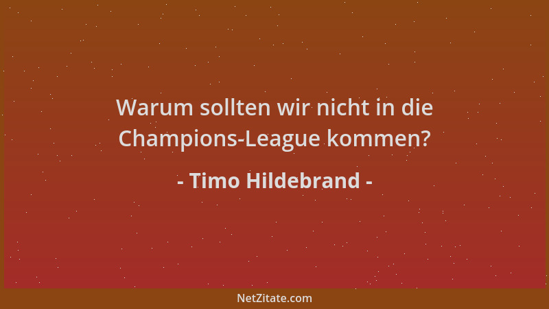 Timo Hildebrand - Warum sollten wir nicht in die Champions-League kommen?...