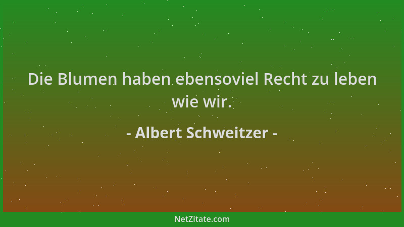 Albert Schweitzer - Die Blumen haben ebensoviel Recht zu leben wie wir....