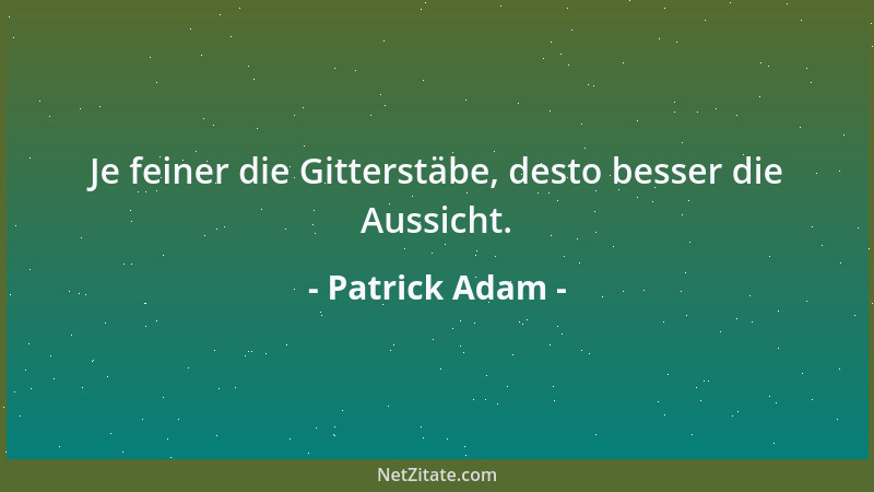 Patrick Adam - Je feiner die Gitterstäbe, desto besser die Aussicht....