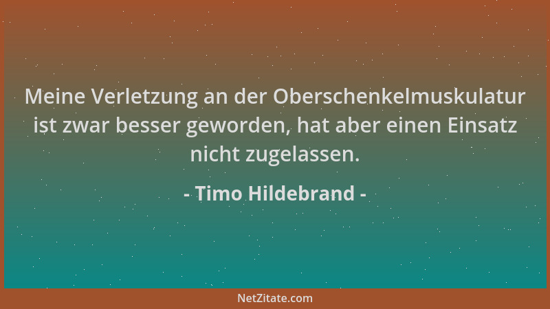 Timo Hildebrand - Meine Verletzung an der Oberschenkelmuskulatur ist zwar besser geworden, hat aber einen Einsatz nicht zug...