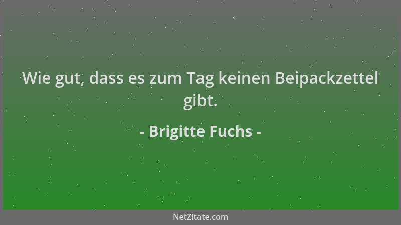 Brigitte Fuchs - Wie gut, dass es zum Tag keinen Beipackzettel gibt....