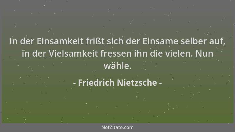 Friedrich Nietzsche - In der Einsamkeit frißt sich der Einsame selber auf, in der Vielsamkeit fressen ihn die vielen. Nun w...