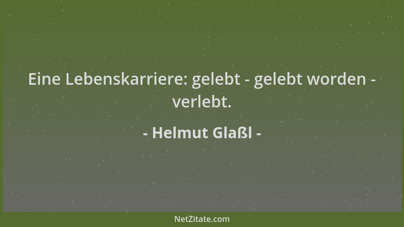 Helmut Glaßl - Eine Lebenskarriere: gelebt - gelebt worden - verlebt....