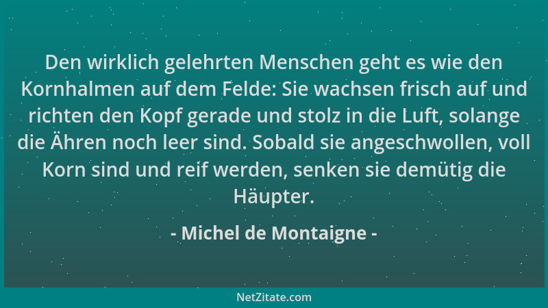 Michel de Montaigne - Den wirklich gelehrten Menschen geht es wie den Kornhalmen auf dem Felde: Sie wachsen frisch auf und...
