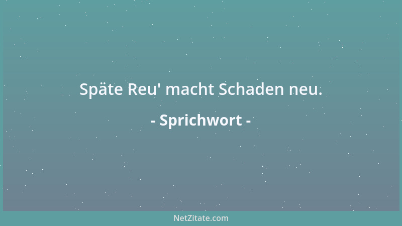 Sprichwort - Späte Reu ' macht Schaden neu....