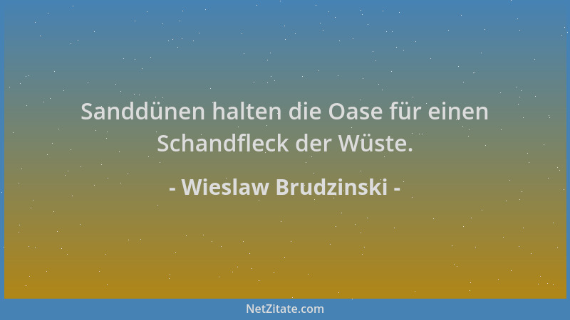 Wieslaw Brudzinski - Sanddünen halten die Oase für einen Schandfleck der Wüste....
