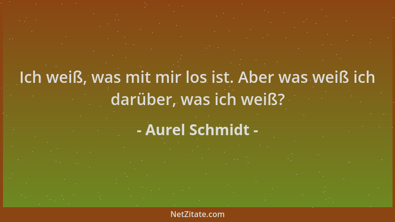 Aurel Schmidt - Ich weiß, was mit mir los ist. Aber was weiß ich darüber, was ich weiß?...