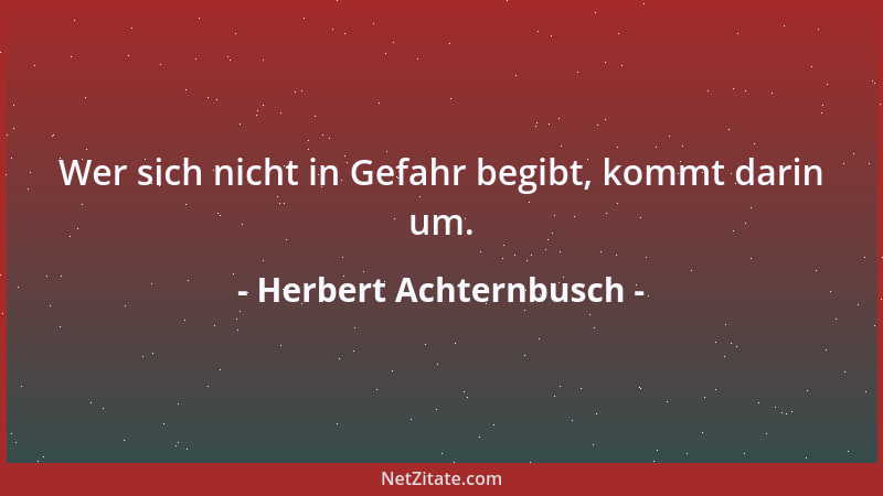 Herbert Achternbusch - Wer sich nicht in Gefahr begibt, kommt darin um....