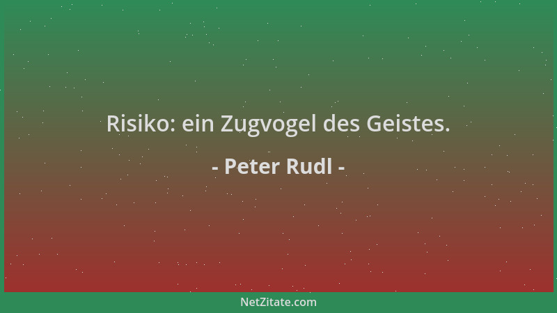 Peter Rudl - Risiko: ein Zugvogel des Geistes....