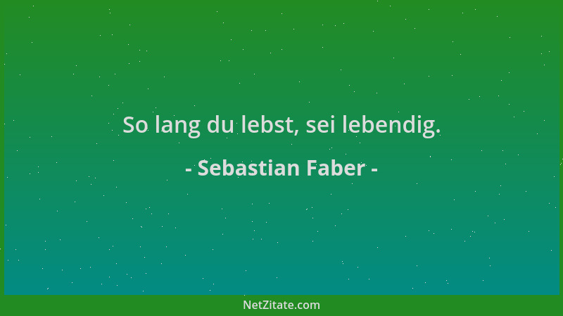 Sebastian Faber - So lang du lebst, sei lebendig....