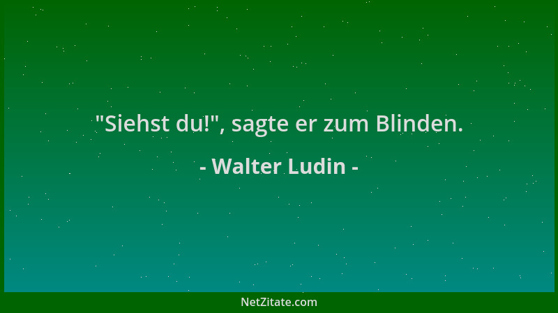 Walter Ludin -  "Siehst du! ", sagte er zum Blinden....