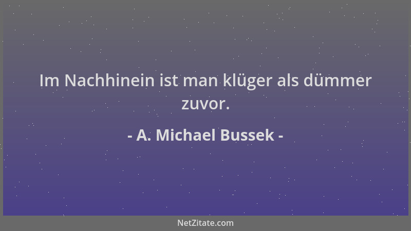 A. Michael Bussek - Im Nachhinein ist man klüger als dümmer zuvor....