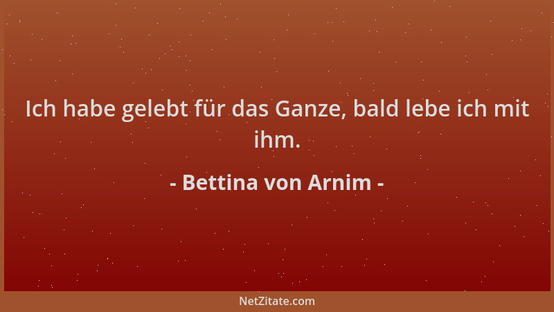 Bettina von Arnim - Ich habe gelebt für das Ganze, bald lebe ich mit ihm....
