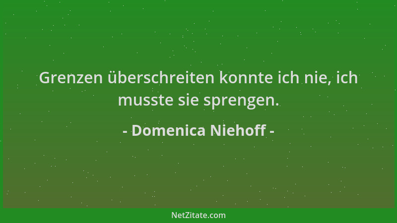 Domenica Niehoff - Grenzen überschreiten konnte ich nie, ich musste sie sprengen....