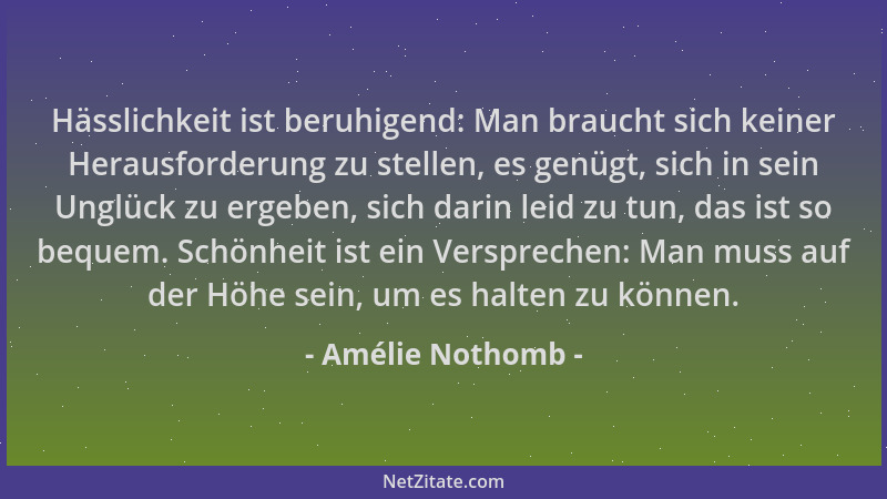 Amélie Nothomb - Hässlichkeit ist beruhigend: Man braucht sich keiner Herausforderung zu stellen, es genügt, sich in sein U...