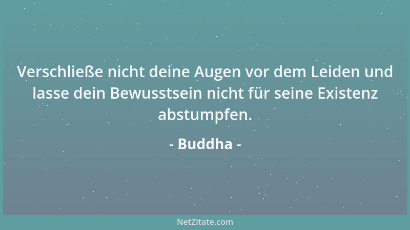 Buddha - Verschließe nicht deine Augen vor dem Leiden und lasse dein Bewusstsein nicht für seine Existenz abstumpfen....