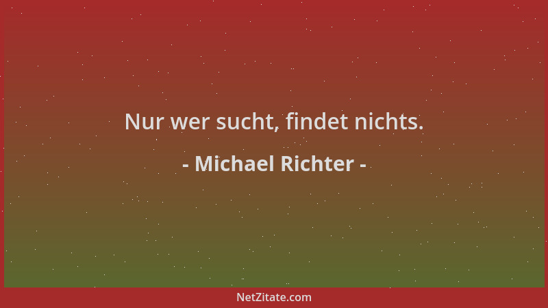 Michael Richter - Nur wer sucht, findet nichts....