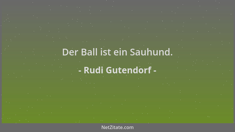 Rudi Gutendorf - Der Ball ist ein Sauhund....