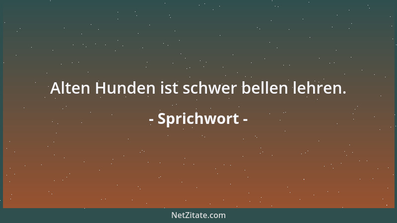 Sprichwort - Alten Hunden ist schwer bellen lehren....