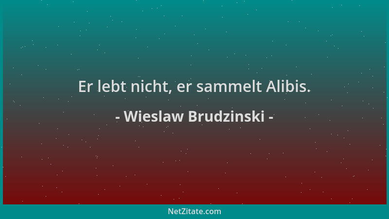 Wieslaw Brudzinski - Er lebt nicht, er sammelt Alibis....